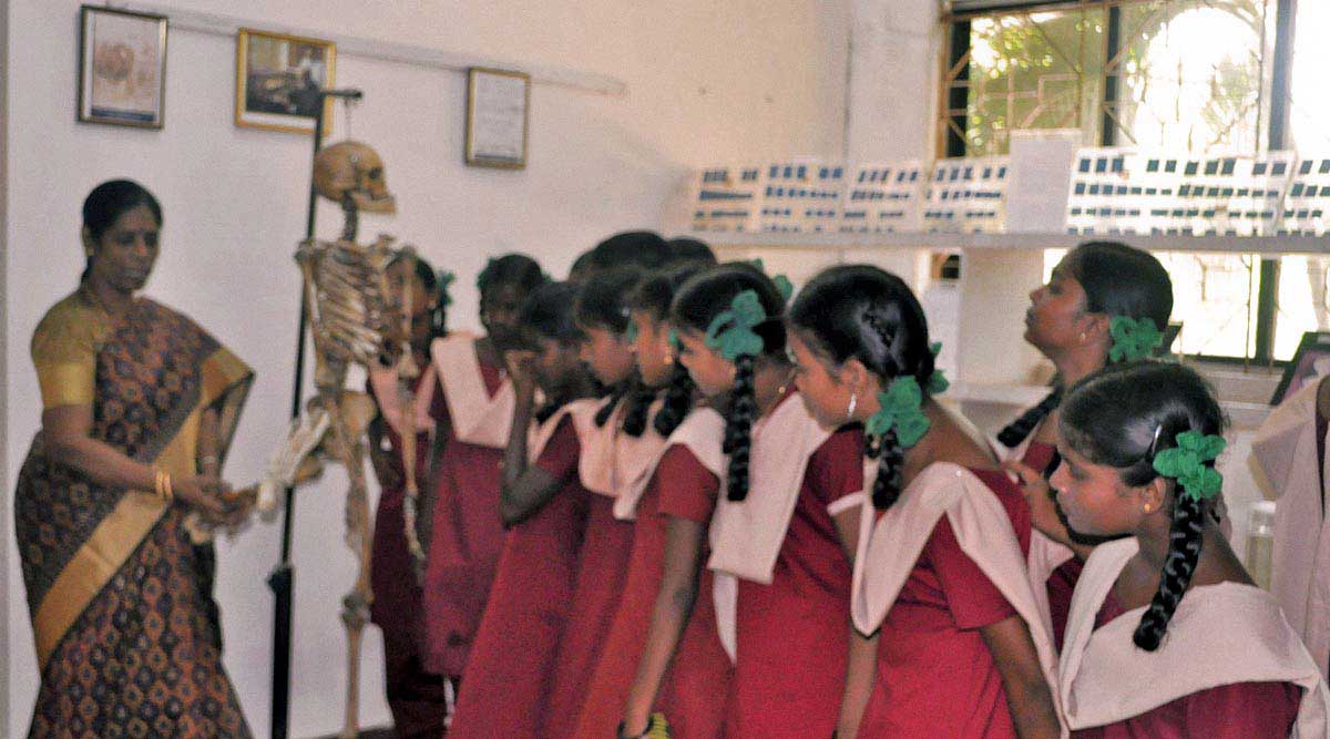 Anatomy2.jpg